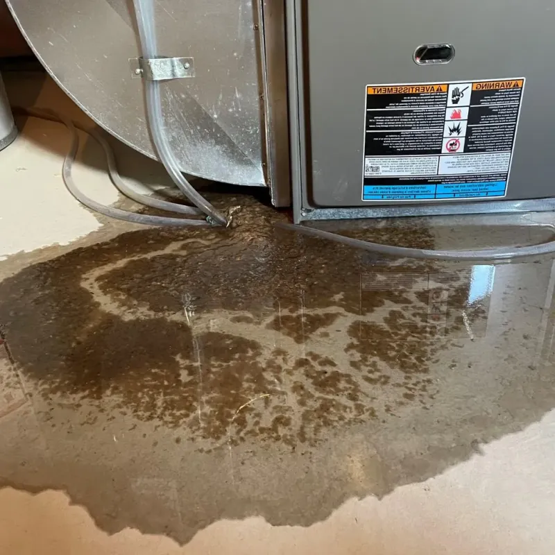 Pipe Burst and Leak Restoration in Gilmer County, GA