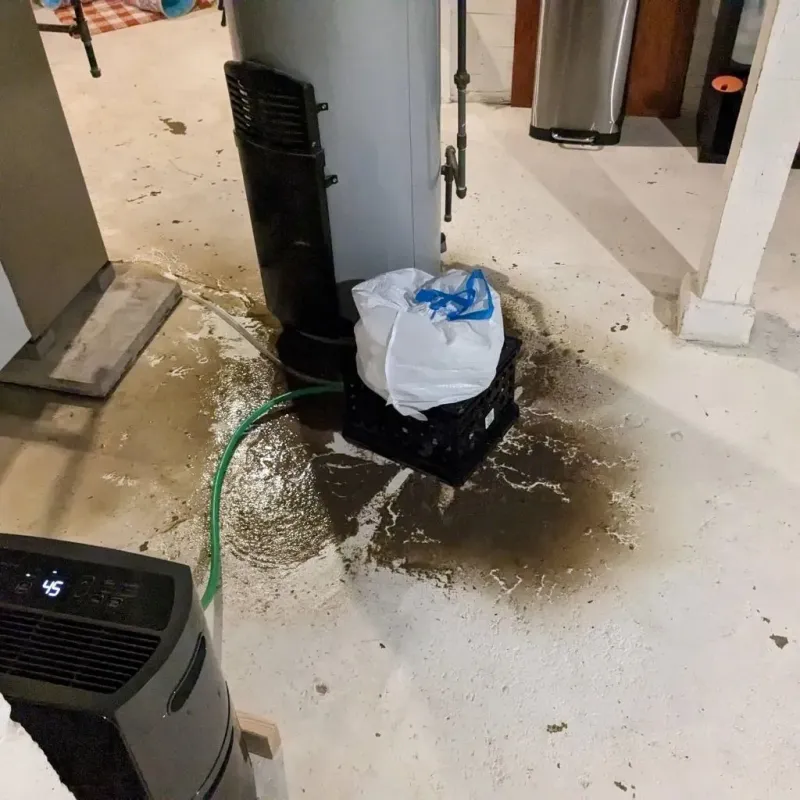 Sewage Backup Cleanup Service in Gilmer County, GA